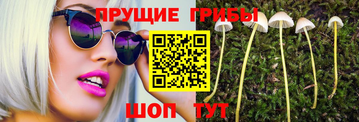 Мурино  Галлюциногенные грибы GOLDEN TEACHER  Вход с VPN 